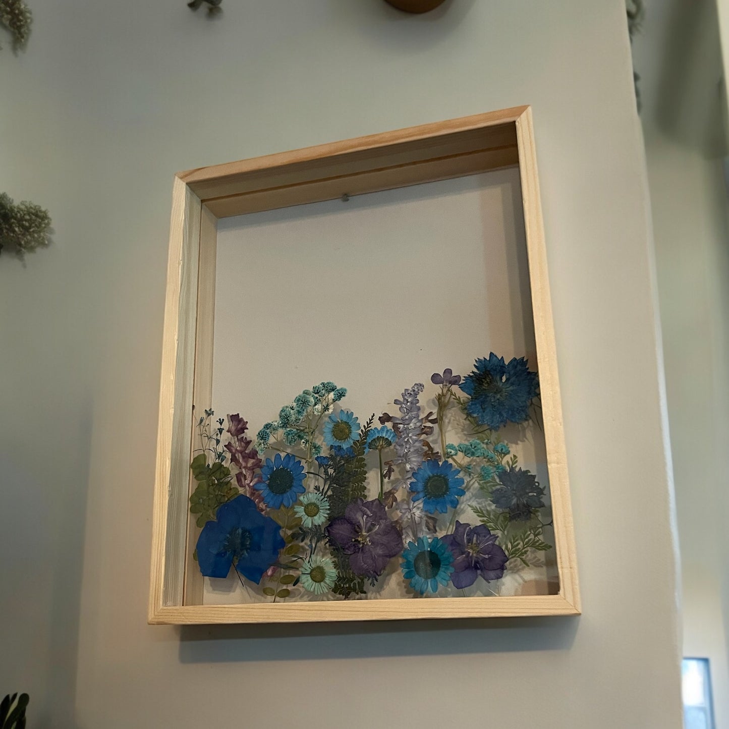 Indigo Orchids